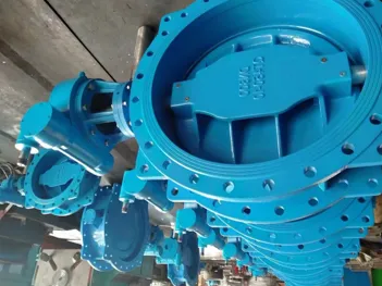 Vanne papillon concentrique à double bride