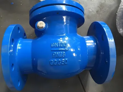 Clapet anti-retour à battant en fonte ductile PN10