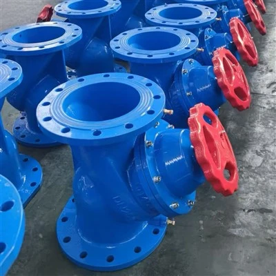 Crépine en Y en fonte ductile DN80