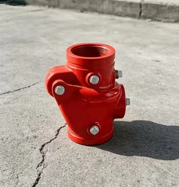 Grooved Swing Check Valve