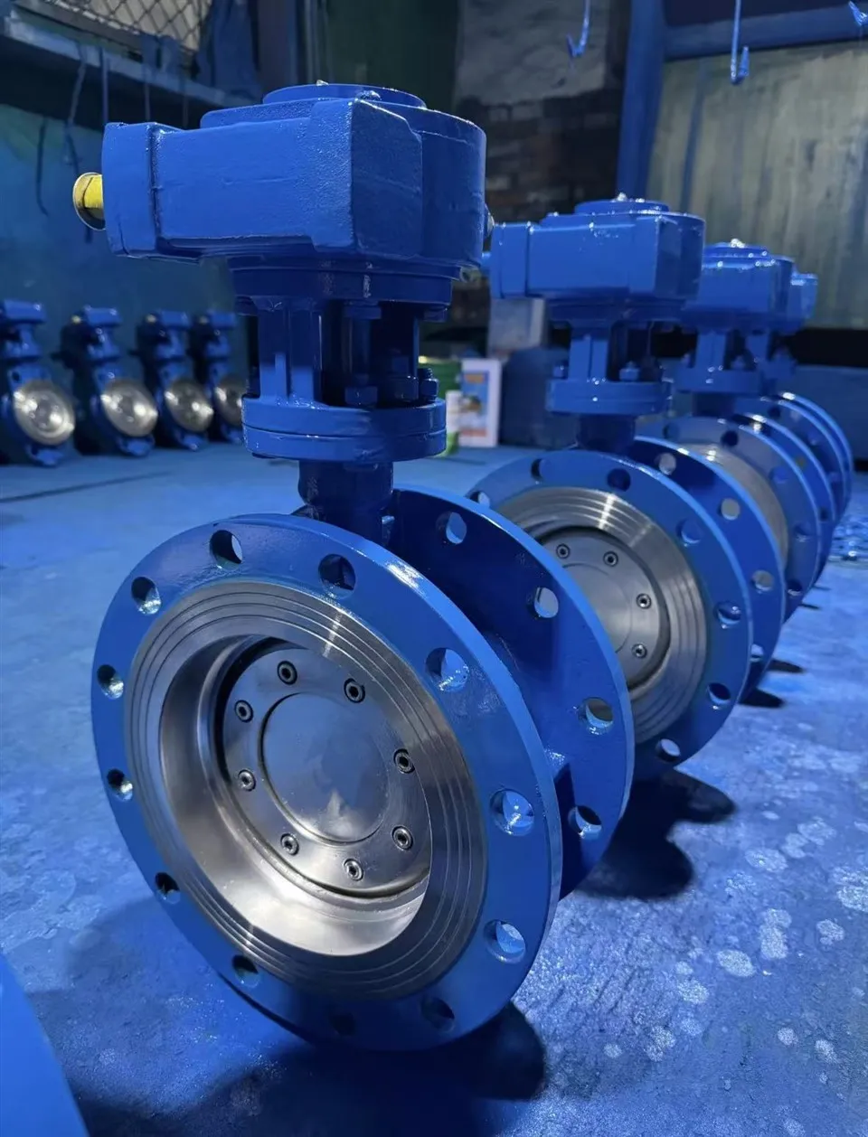 Vanne papillon de type U